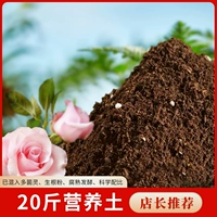 GM 20 фунтов питательной почвы