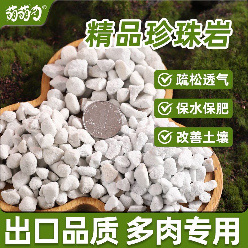 多肉专用珍珠岩硬质颗粒土壤