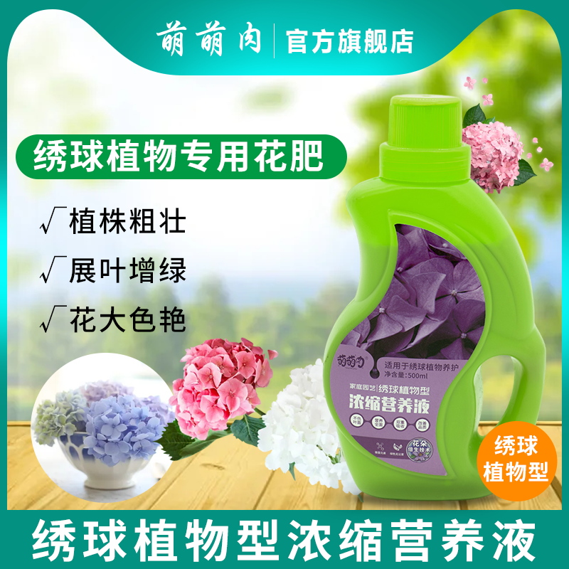 萌萌肉绣球营养液八仙花专用浓缩