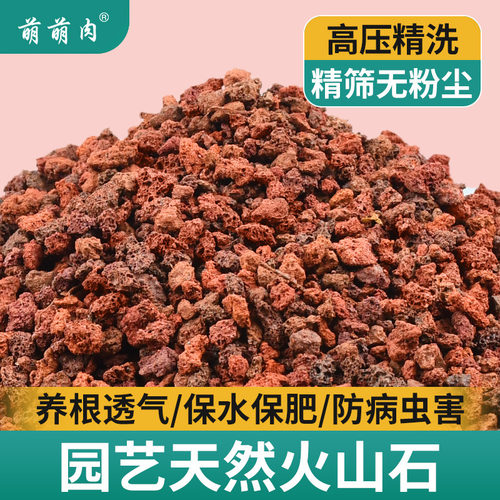 火山石颗粒火山岩兰花土多肉铺面