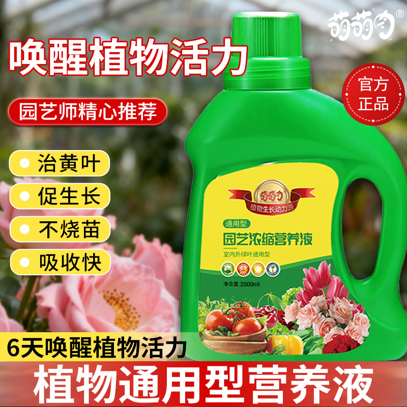 植物通用型营养液家用养花卉水培