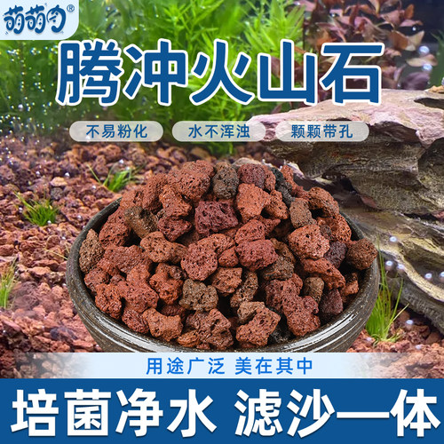 腾冲天然火山石颗粒多肉铺面