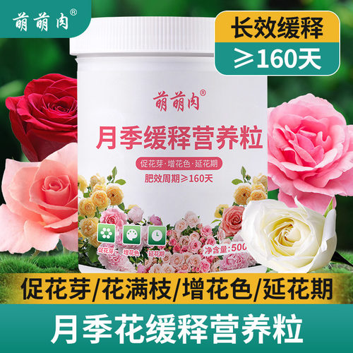 萌萌肉月季专用缓释肥控释颗粒肥