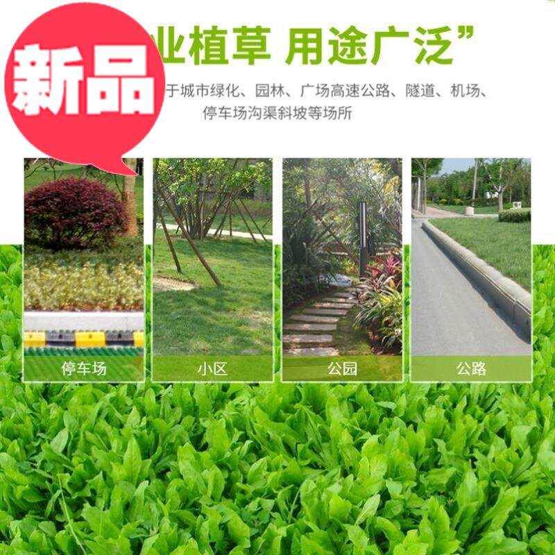 护坡公园园林道路绿3化草坪砖通用生态停车场车道绿化植草格