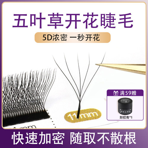 五叶草嫁接睫毛超软不散根