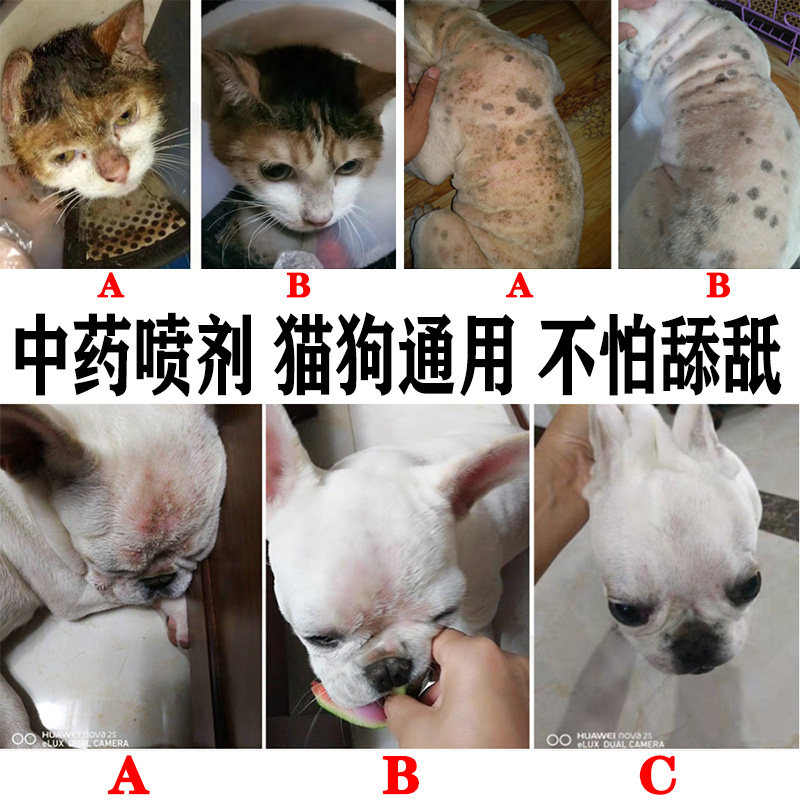 猫藓外用狗狗真菌皮肤病非药喷剂猫癣狗癣专用猫咪细菌清洁护理