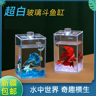 泰国斗鱼专用缸小型迷你超白玻璃缸半月巨斗创意造景宿舍桌面鱼缸