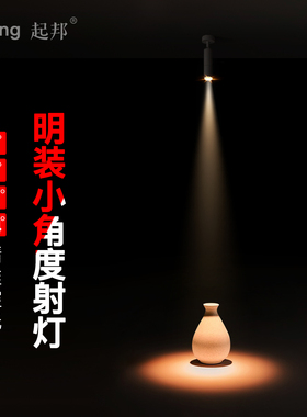 led明装射灯轨道灯3度光束角餐桌展柜氛围灯小角度聚光重点照明