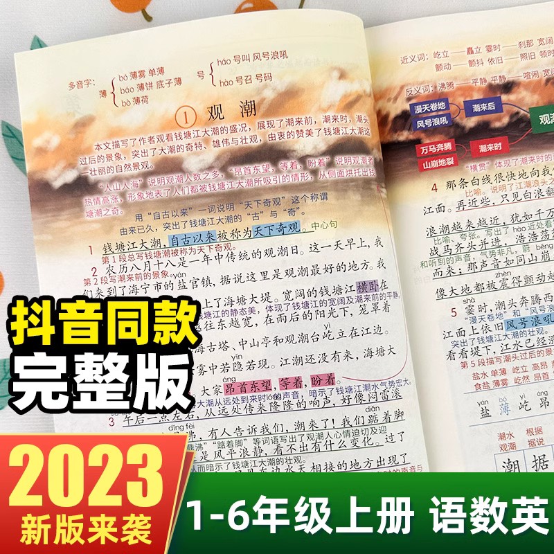 2023新版课堂笔记人教版语文数学英语小学生一二三四五六年级上册部编注音版pep课本原文教材同步解读七彩大状元全解讲解训练书