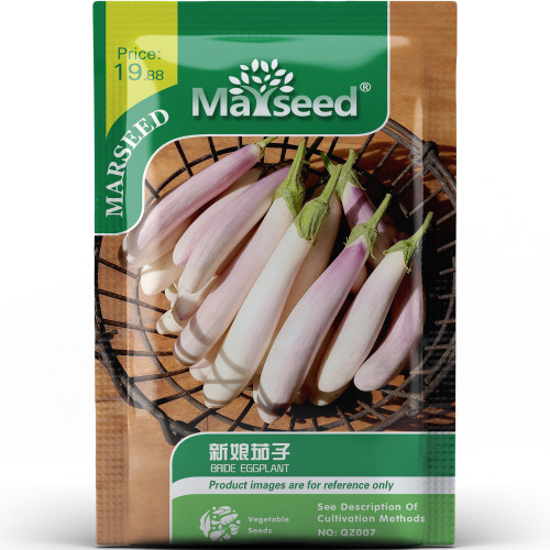 灵动别致新娘茄子种子种苗烤炒清蒸鲜嫩多汁美味阳台新手蔬菜B193