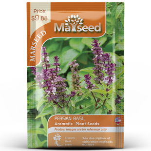 Basil 進(jìn)口傳家寶Persian 波斯羅勒 MARSEED火星家 種子