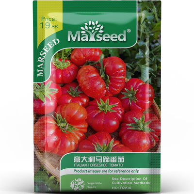 经典风味意大利马蹄番茄大果实浓郁多汁抗病性强百搭蔬菜种子种苗