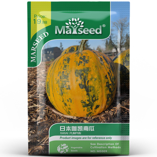 【新品推荐】进口日本无壳油籽咖凯南瓜新鲜食用零食种子孑籽苗
