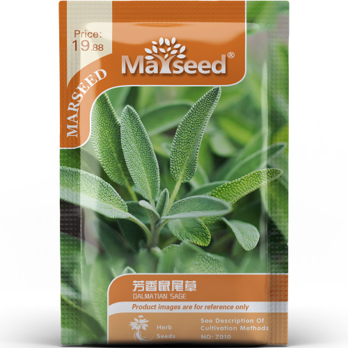 可食用芳香鼠尾草调味增香叶片厚实西餐甜点多用途香草种子种苗