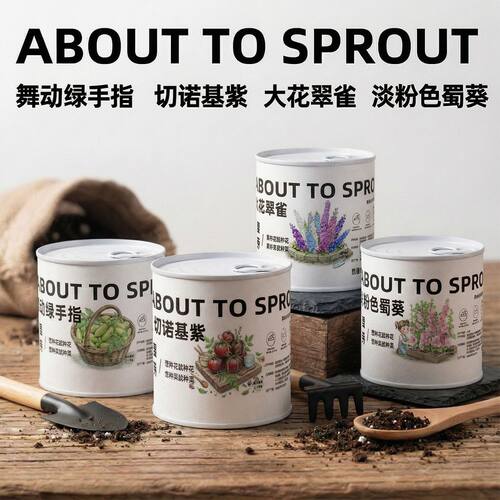 网红迷你罐头种子室内小盆栽易活蔬果花卉播种新手好养创意植物