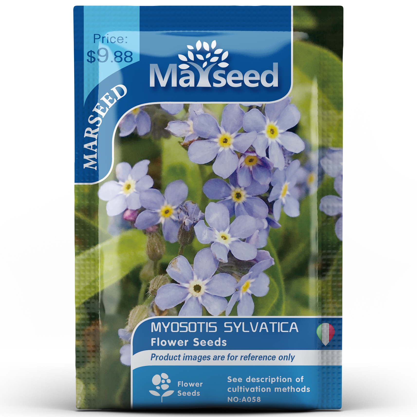 勿忘我种子价格 勿忘我种子图片 星期三