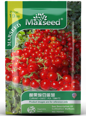 【MARSEED火星家】Currant Rush甜豌豆迷你小红醋栗番茄种子秧苗