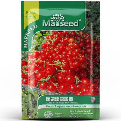 【MARSEED】迷你红醋栗番茄种子