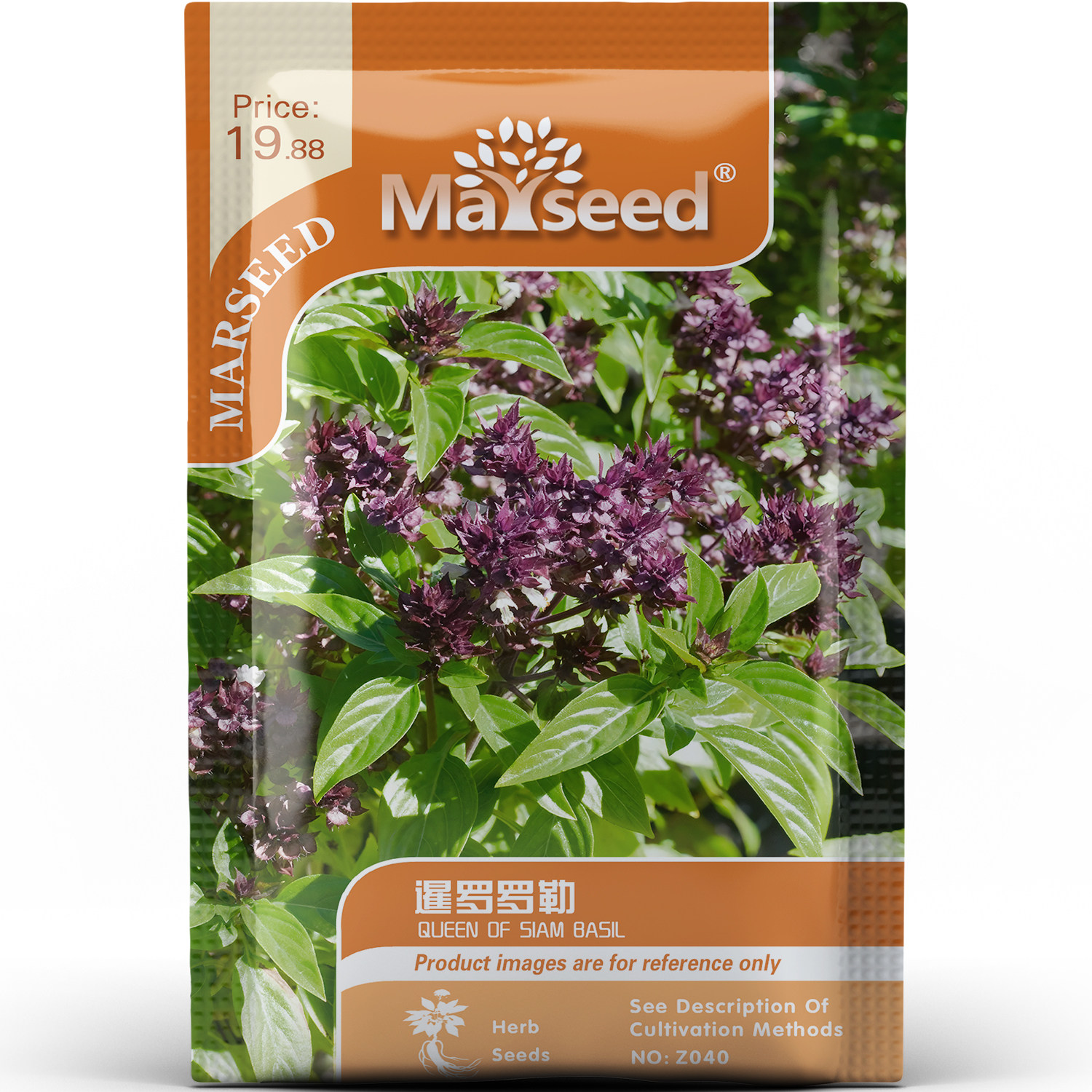 获ASS奖暹罗皇后罗勒香草浓郁辛香泰式料理调味阳台盆栽种子种苗