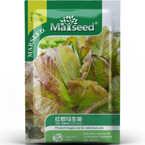 红罗马生菜种子种苗酒红丝绒叶卷边厚叶清脆多汁佐餐沙拉蔬菜C187