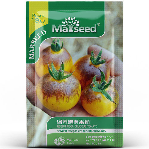 俄罗斯的传家宝乌苏黑虎番茄种子