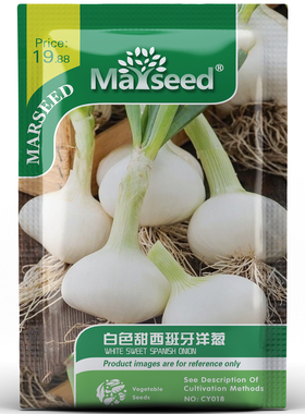 【新品推荐】西班牙传家宝白色甜洋葱种子  易种蔬菜盆栽田园籽孑