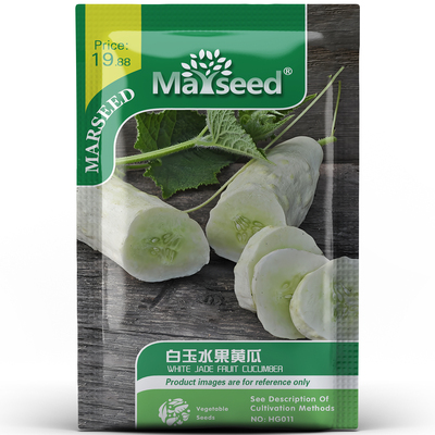 网红品种白玉黄瓜种孑子籽