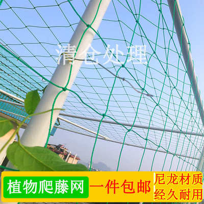 园艺农用种植物百香果葡萄瓜棚藤尼龙网豆角藤蔓网攀爬网黄瓜藤网