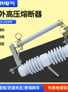高压跌落式熔断器保险丝10kv克令保险开关RW12-15/100-200A户外
