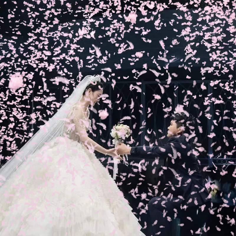 结婚礼炮羽毛礼筒炮彩带喷花筒直播间婚礼手