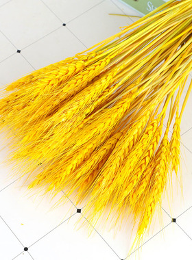 大麦花束摆件黄金麦穗干花天然装饰道具插花金麦稻穗花篮开业大麦