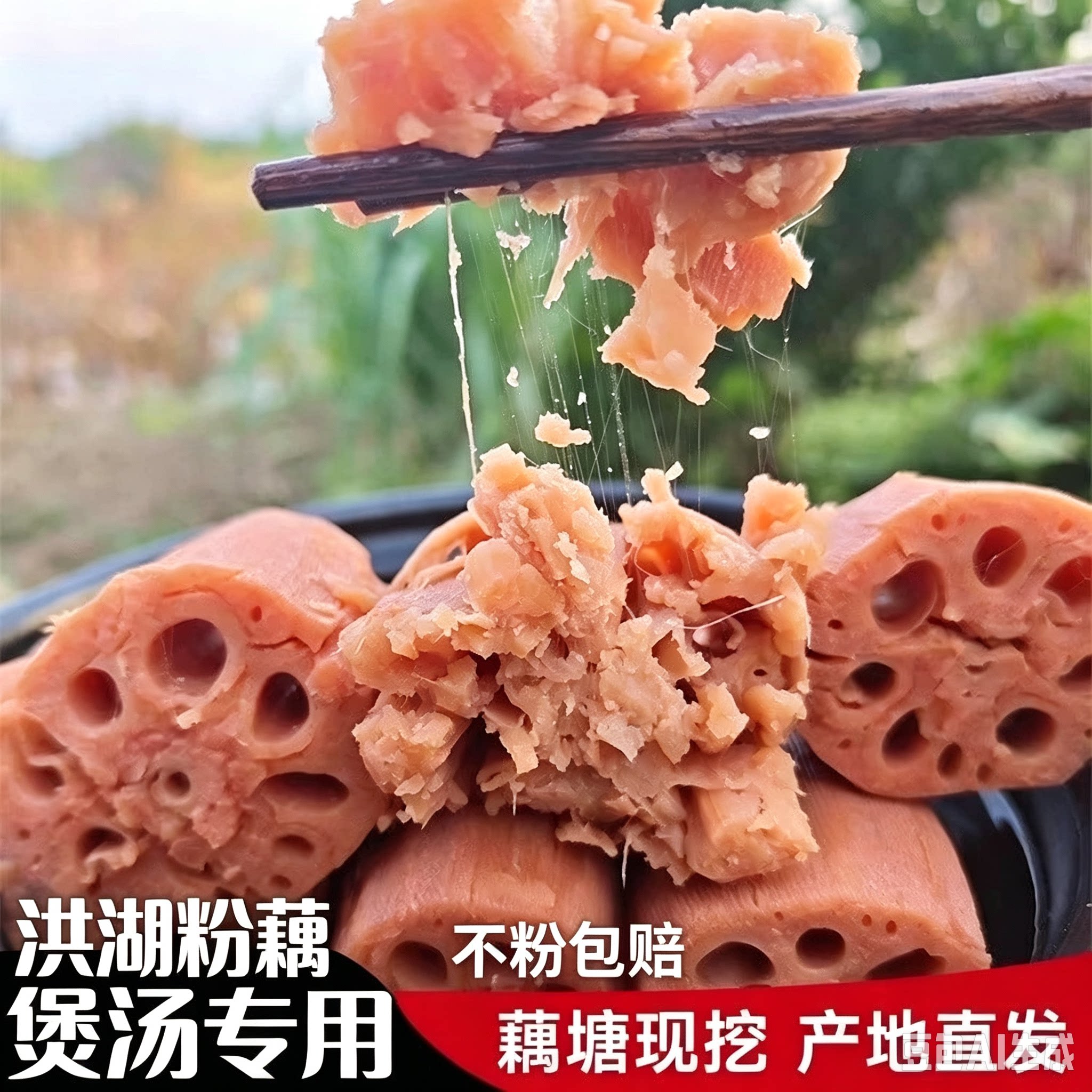 洪湖粉藕新鲜带泥现挖煲汤粉糯莲莲藕