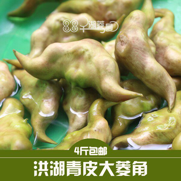 洪湖新鲜老菱角黑菱角湖北特产腰生吃菱脆甜水栗子牛角果菱实棱角