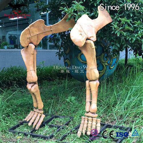 化石骨架恐龙脚模型仿真化石博物馆科技馆展览自贡恐龙厂家制作