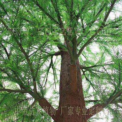 仿真水杉树人造假水杉仿生松树逼真古松树装饰美化树仿真植物