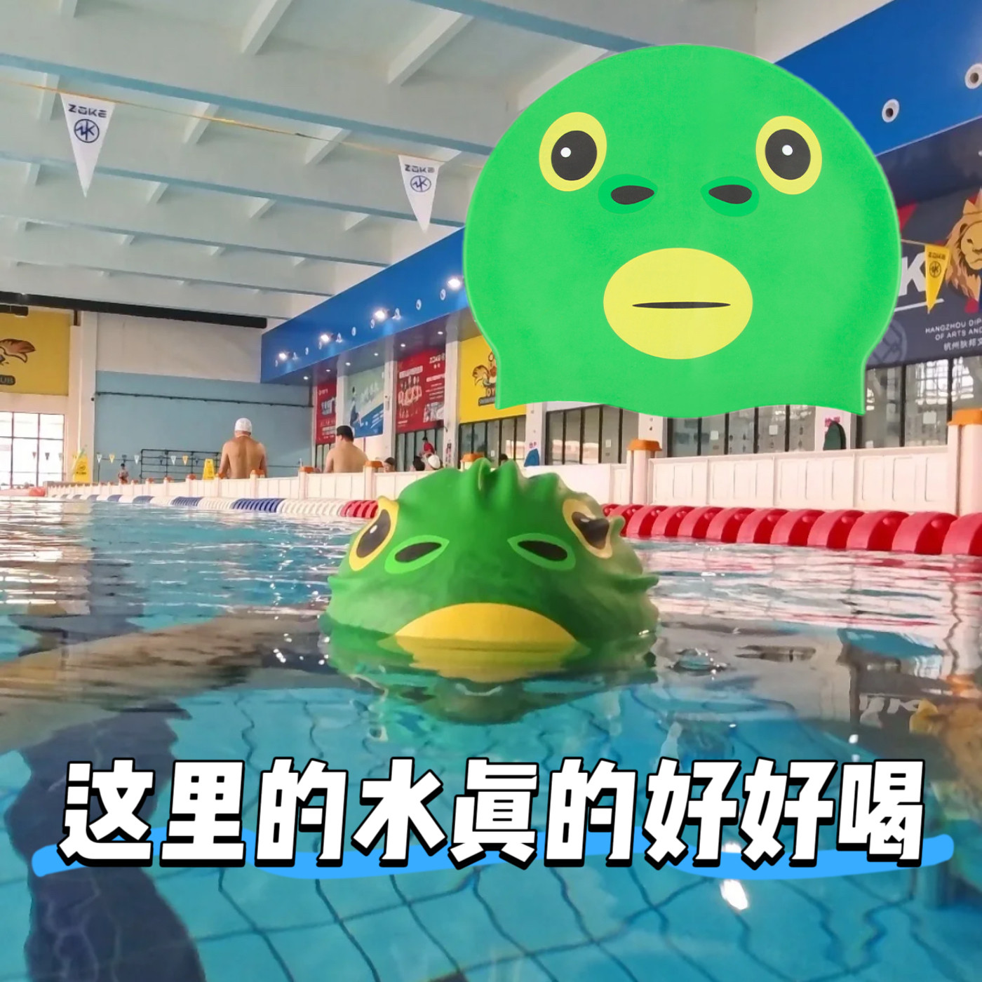 新款搞笑绿头鱼搞怪硅胶泳帽舒适不嘞防水可爱卡通成人男女高弹