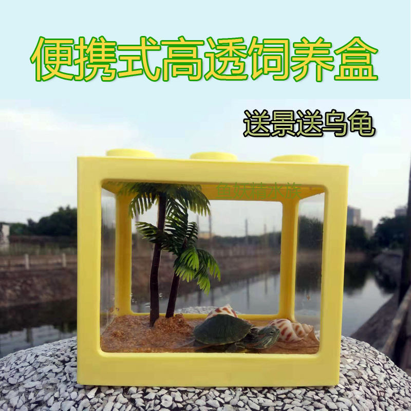 乌龟小型龟动手课饲养盒