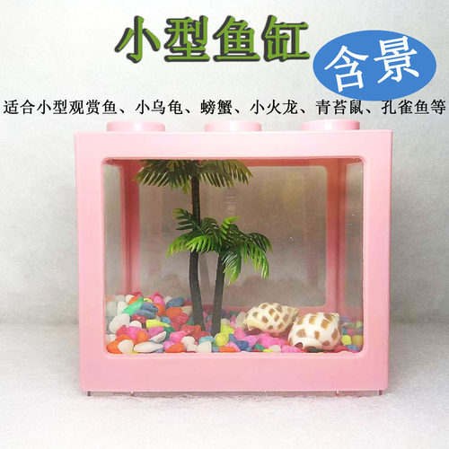 小型鱼缸小鱼小火龙斗鱼桌面鱼缸