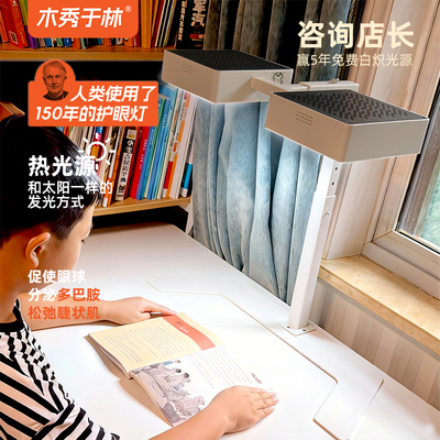 木秀于林热光源双头小路灯