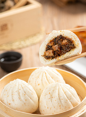 【量折】包道梅菜卤肉包广式点心早茶早餐速冻包子9个装486g