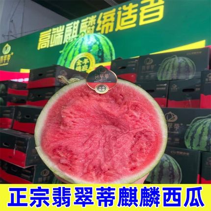 海南翡翠蒂无籽西瓜当季麒麟西瓜新鲜红壤皮薄脆甜单果7斤8424瓜