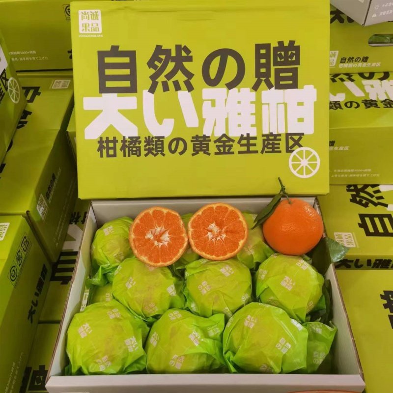 现货大雅柑白富美春见粑粑柑礼盒装7.5斤甜嫩多汁速发新鲜水果,水产肉类/新鲜蔬果/熟食,桔子,淘宝优惠券,粉丝福利购,淘宝优惠卷