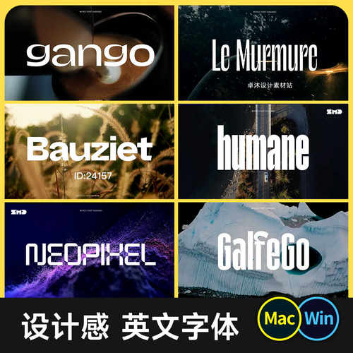 20款个性创意英文字体 设计感有气质标题粗体西文字体包下载ps/ai