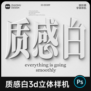 1款简约雅致白色3D立体质感字体样机 可改文字 logo提案贴图样机