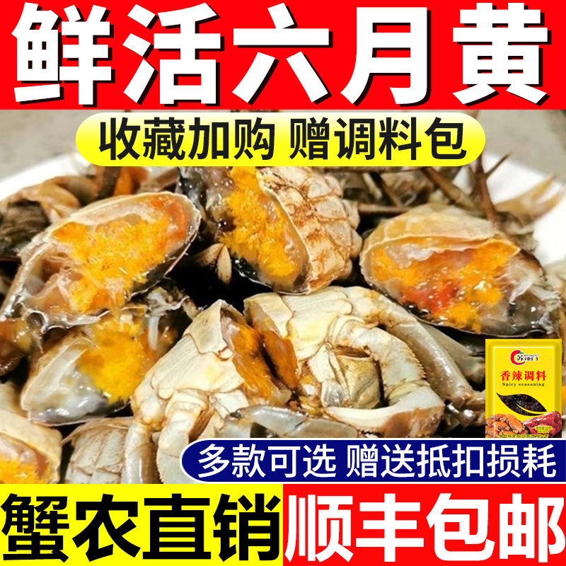 六月黄小螃蟹鲜活蟹大闸蟹现货公蟹新鲜水产一元蟹稻田蟹清水河蟹