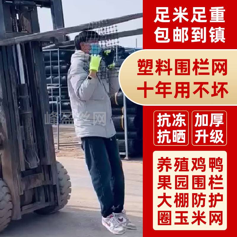 塑料网格防护养殖菜园栅栏户外拦鸡网子圈玉米漏粪脚垫养鸡围栏网