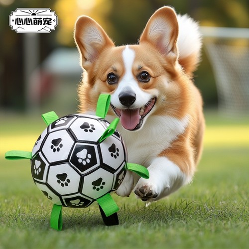 狗狗玩具球边牧自嗨玩具拉布拉多柯基训练专用狗足球耐咬宠物用品