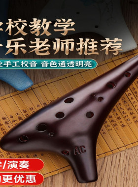 陶笛12孔初学者入门儿童十二孔课堂吹奏乐器AC中音C调陶埙小学生