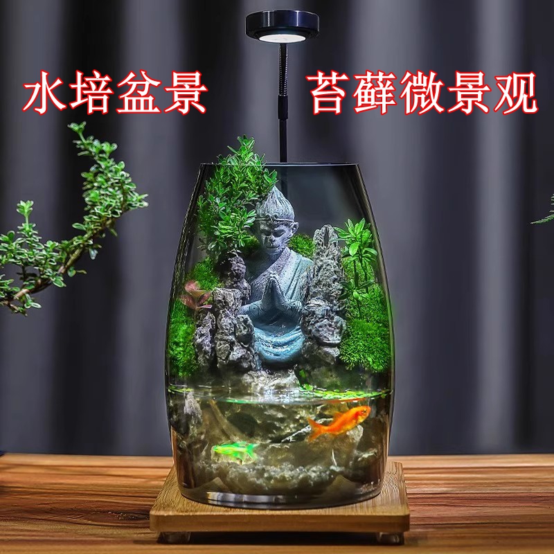 水培生态瓶创意微景鱼缸观桌面盆栽办公室绿植客厅苔藓微景观盆景