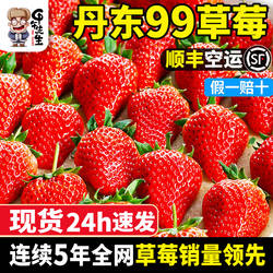 丹东99草莓东港大九九牛奶奶油正宗红颜草莓水果99当季礼盒新鲜